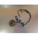 Stator d'allumage Suzuki 250 RGV VJ22